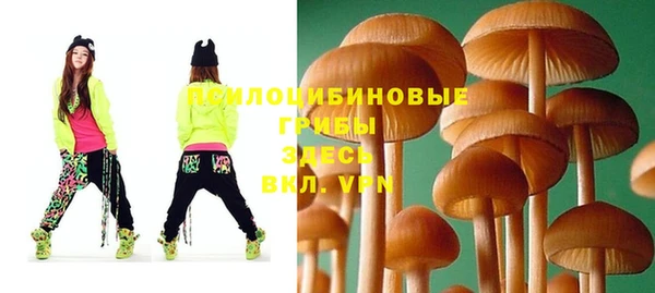 молекула духа Алексеевка