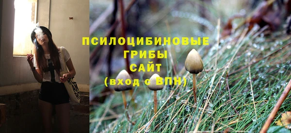 героин Алзамай