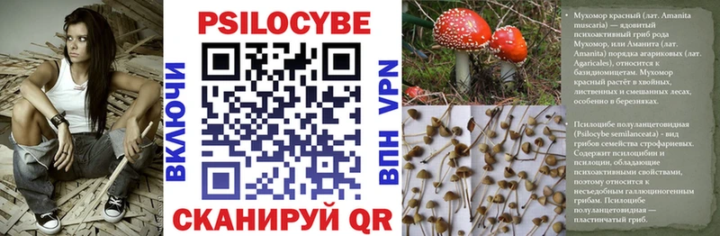 гидра ссылки  Миньяр  Псилоцибиновые грибы Psilocybe  дарнет шоп 